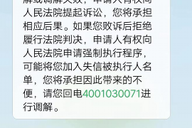 西双版纳为什么选择专业追讨公司来处理您的债务纠纷？